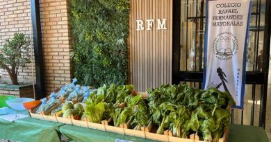 Nuestro mercadillo ecológico y solidario