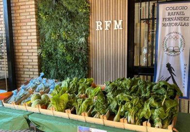 Nuestro mercadillo ecológico y solidario