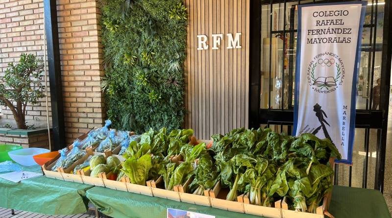Nuestro mercadillo ecológico y solidario